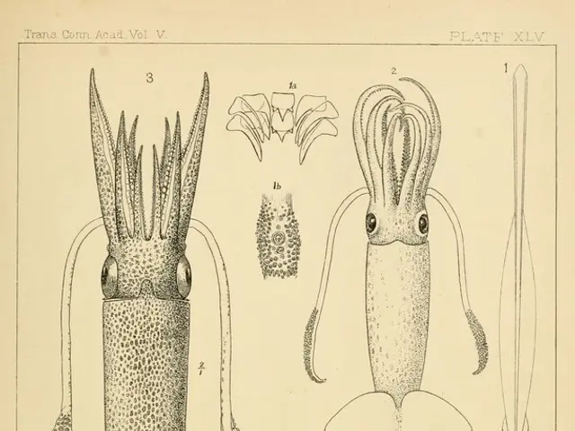Skeletal remains are encountered more frequently than one might anticipate