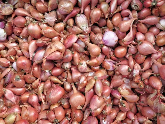 Onions May Aid in Reducing Blood Sugar Levels