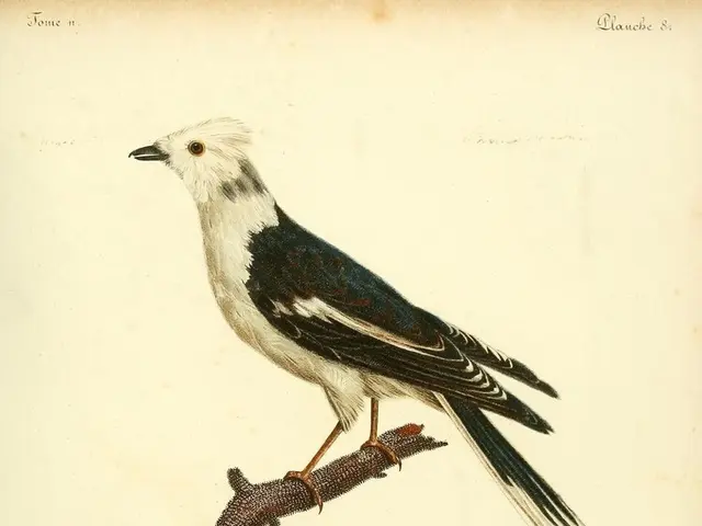 Life-Affirming Reflections About Living with Huntington's Disease