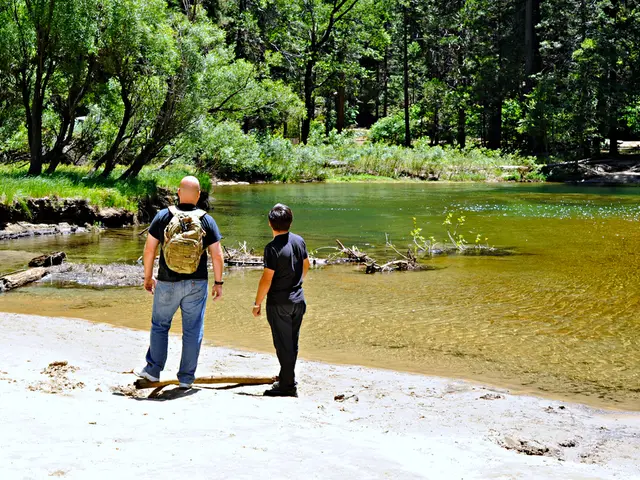 Diabetes Type 2 and Low Blood Sugar Connection: Symptoms, Responses