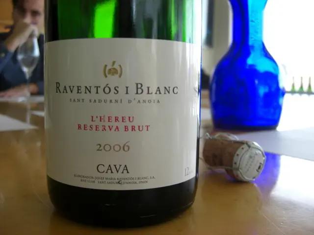 Harnessing Methylene Blue's Therapeutic Power for Healing