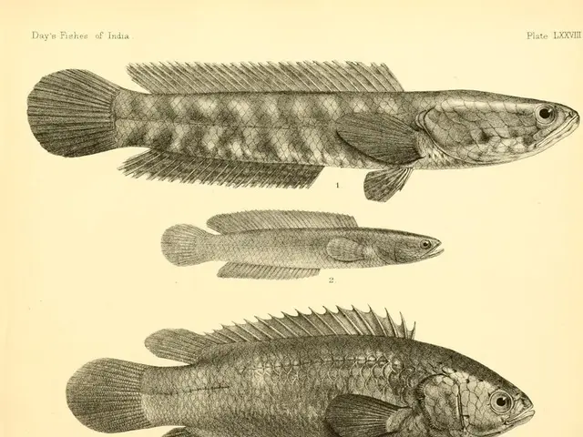 Unveil the Staggering Advantages of Omega-3 Fish Oil Supplements