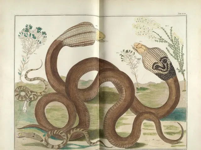 Patient's health is highly deteriorated.