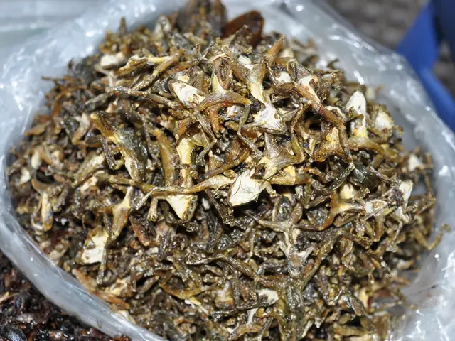 Myeloma stages explained, prognosis, strategies for coping, and related information