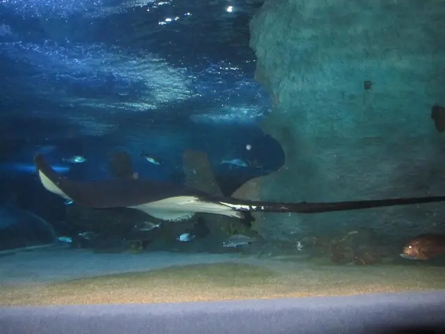 Potential Risk of Entering the Waters at California's Famous 'Surf City USA' Beach
