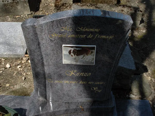 Experiences of the Near-Death: Insights into Light, Love, Life, and the Mystery Beyond