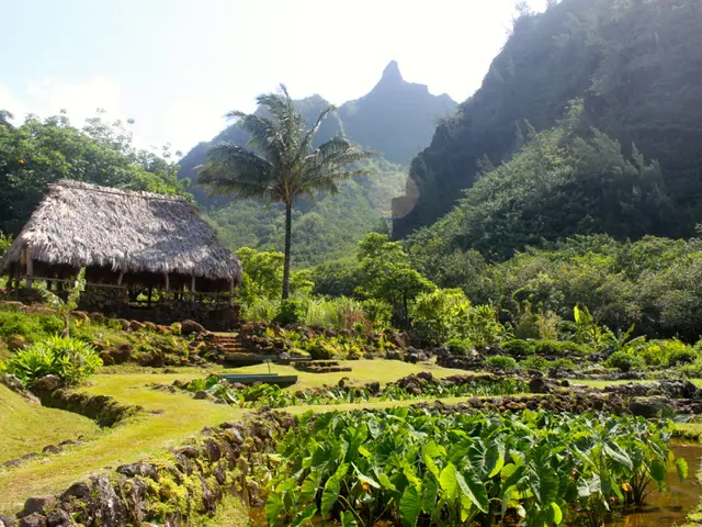 Eaton-Lambert Syndrome: An Examination of a Rare Neuropathy Condition