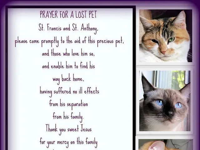 Insight into the anxieties revealed through dreams