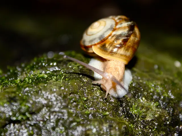 "Moses commenced expounding on the Torah"