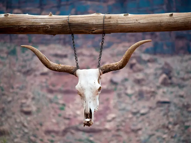 Averaged Archaeology Scholar Unearths Viking-Period Stone Statue in Scottish Isles