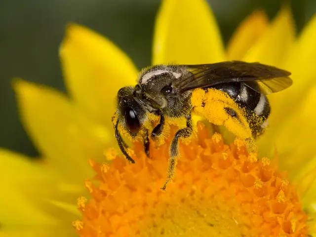 Nation currently under emergency conditions.