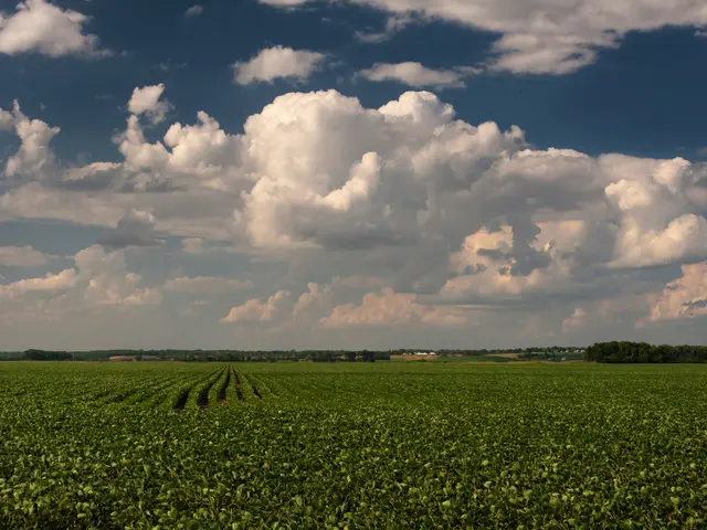 Uncultivated Areas Uplift Young Adults Mentally