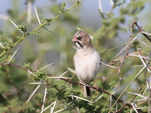 Larger volumes of data don't always lead to better results in the realm of Big Data processing;...