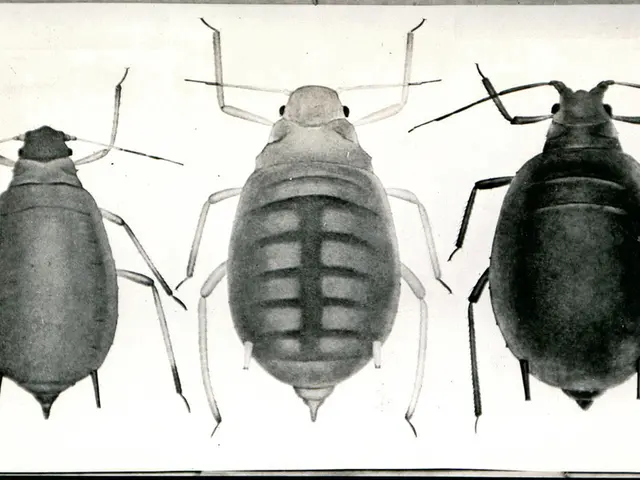 People in Portugal expressing worry over cleanliness