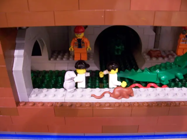 Two African Nile crocodiles engage in a confrontation.