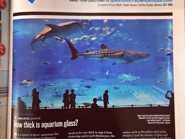 Nature's Excoriating Cries