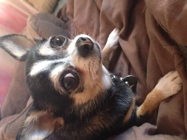 A Bartholin gland cyst is a fluid-filled sac that forms in the Bartholin gland, which is located...