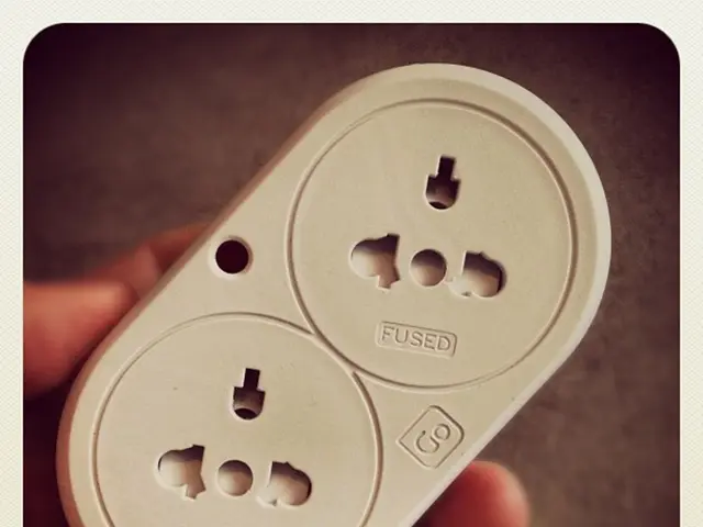 Progress Made in Attempt to Restore Injured Nervous Tissue