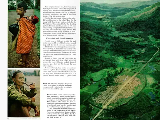 Distinguishing Crohn's disease from celiac: A guide to identification