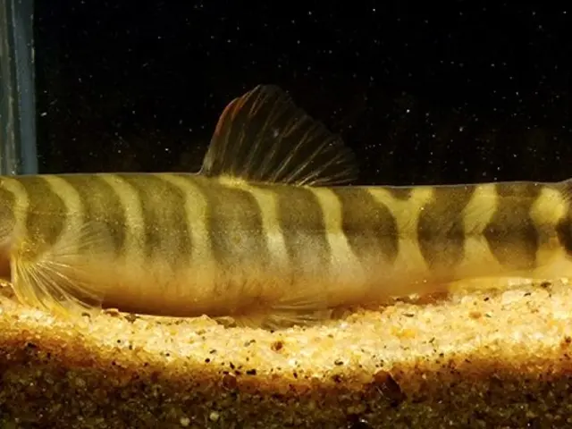 Gallstone Treatment Center Inaugurated at Hospital No. 7 in Nizhny Novgorod