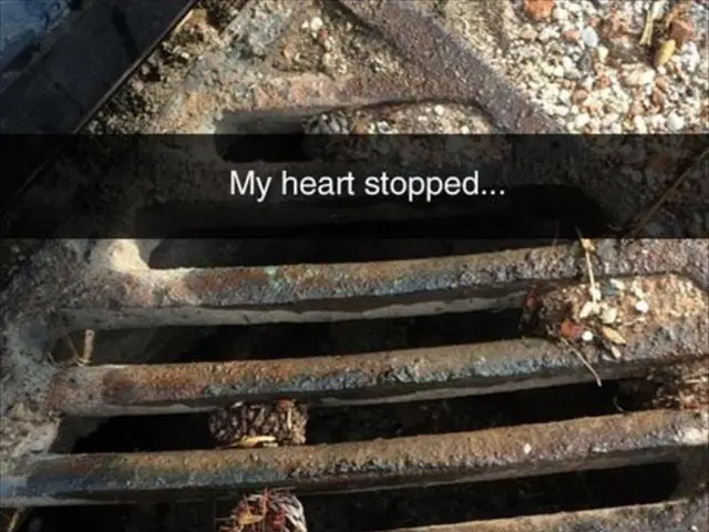 National Business Plan Contest secures victory for HeartGate company