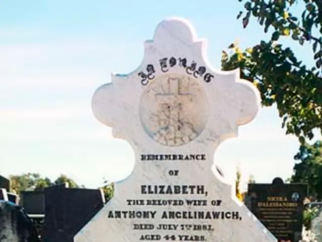 Uncovering the Cause: Aging-Related Memory Loss or Signs of Alzheimer's?