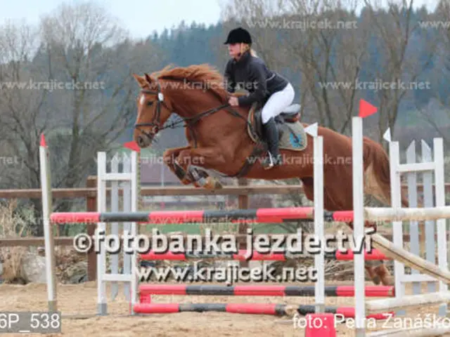 Symptoms and Further Details Regarding Advanced Ovarian Cancer