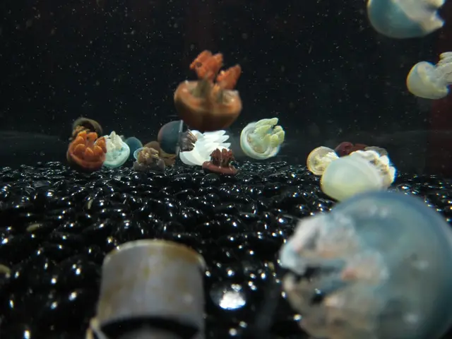 Deadly Marine Life: A List of the Most Perilous Marine Creatures