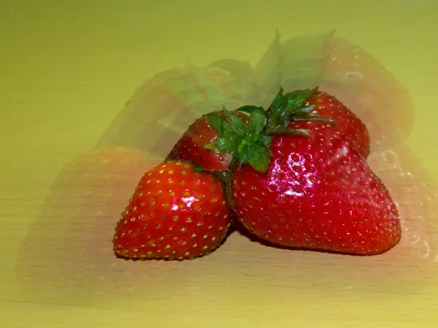 Decay of Strawberries Caused by Leather-Like Damage