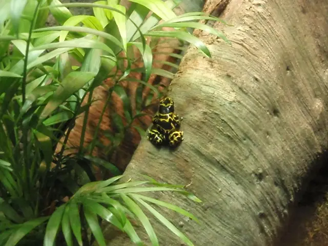 Destroyer Reaches Ekaterinburg – Photographic Evidence Provided (PHOTO)