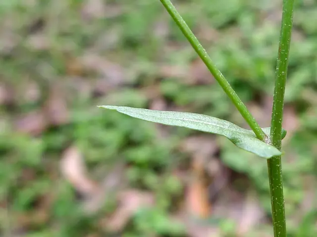 Heart attack due to severely reduced blood flow to the heart's muscle: Recognizing signs and...