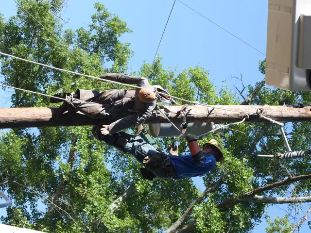 Seizure Continuation: Detailed Description, Classifications, and Beyond