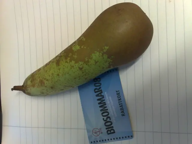 Gout outbreaks: Causes, remedies, and further details