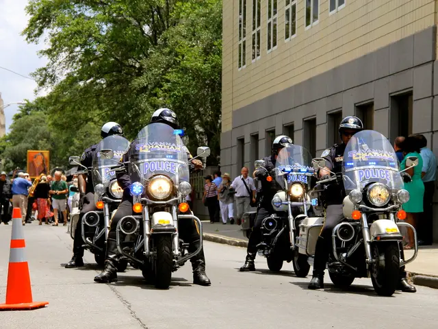 "Roads policing report analysis as a critical matter: a question of survival"