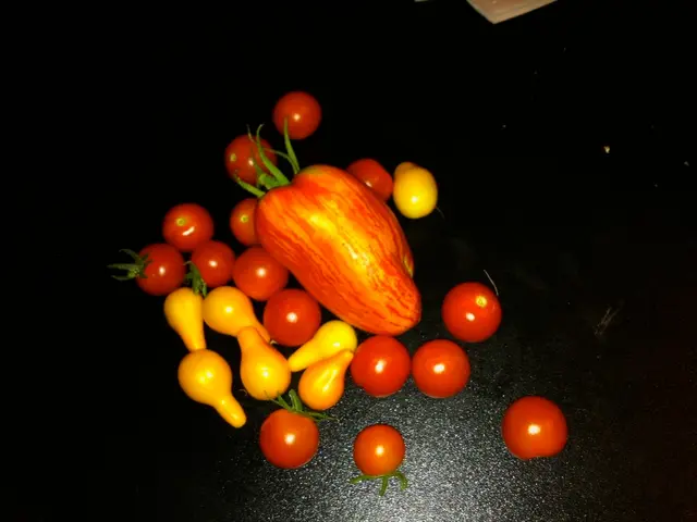 Position Open for Young Professional-II at ICAR- IARI, New Delhi