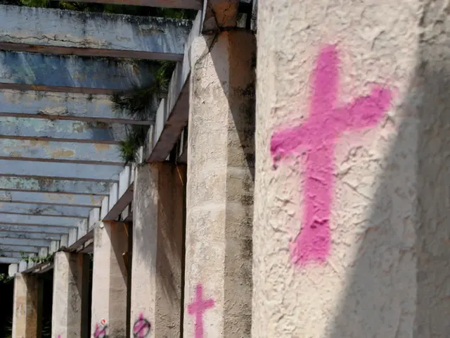 Global initiative ECLAS secures £6M funding for international expansion