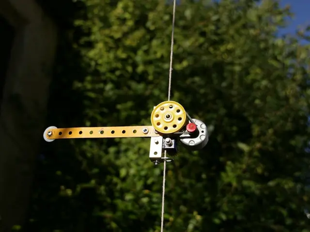 Myocardial Revascularization Procedure: Procedural Steps, Results, and Additional Information