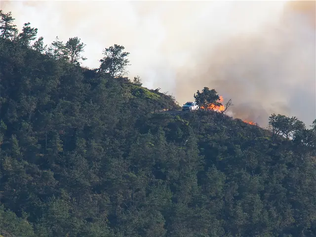 Child meets tragic death due to burns in Uralsk walkway incident