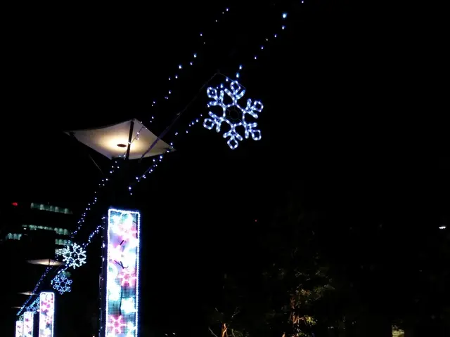 Emergency Care in Action: A Closer Look