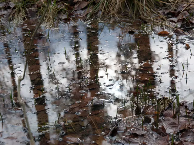 Maintain simmering hot water within household