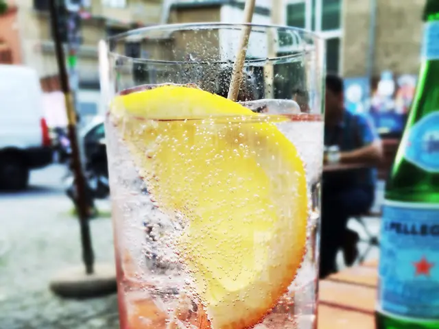 Soothe Your Mind: Discovering the Calmative Properties of Lemon Balm in Easing Anxiety