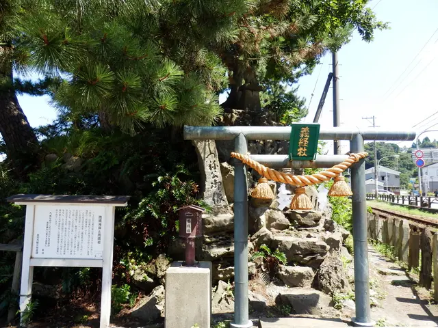 Zambian agriculturalists file lawsuit against Chinese mining corporation over ecological...