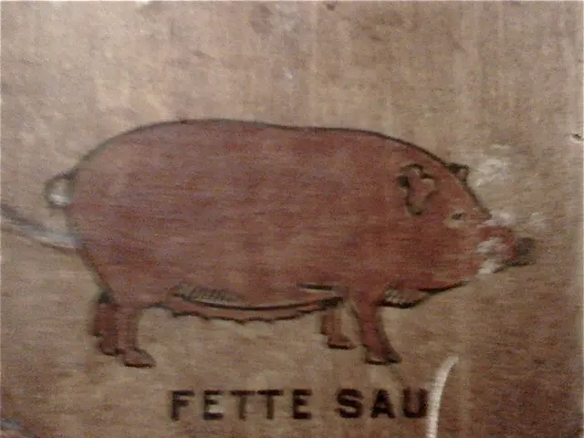 Pigs and dogs can interact with humans, but pigs are more prone to respond physically, particularly...