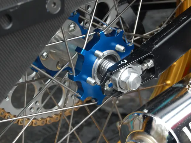 Brain Alterations Triggered by Three Days of Silence: Unveiling the Surprising Transformations