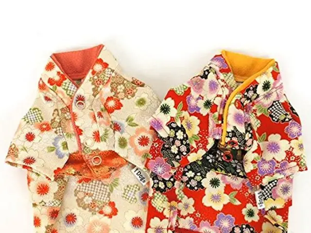 Information on the distinctive purple attire worn by Claudia Sheinbaum during the Cry of...