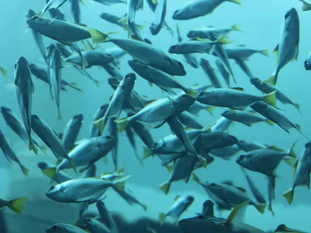 Polar creatures thrive in extreme conditions, defying survival norms, as evidenced by the fish with...