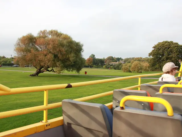 Unveiling the Rise of VIAQ as a Widely Accepted Norm in the Auto Industry