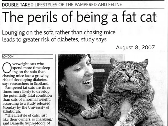 Risks of Intimate Partner Violence Escalating During the Holiday Season