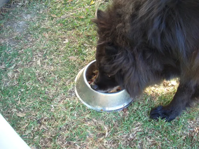 "Death looms for young ones: Corruption, funding reductions, and conflict exacerbate a hunger...