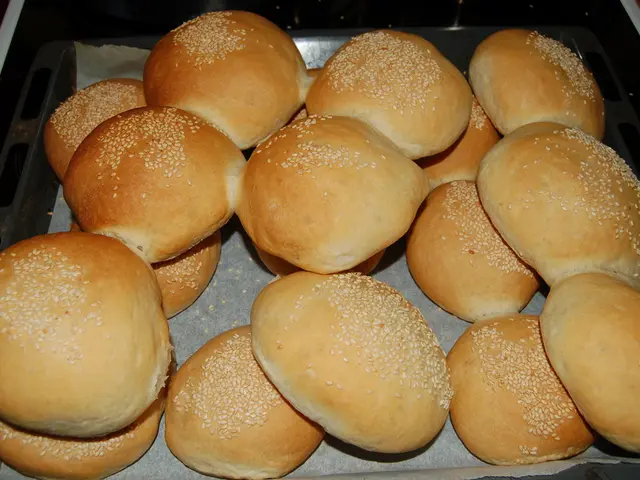 Innovative Green Packaging Thrives in Dresden